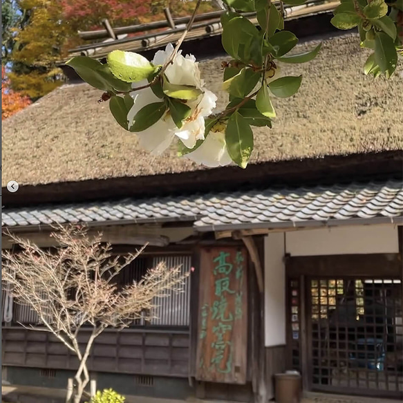 高取焼 高取焼き 丸皿 取り皿 筑前茶陶高取焼 高取八仙窯 陶器 食器 052 8枚目の画像
