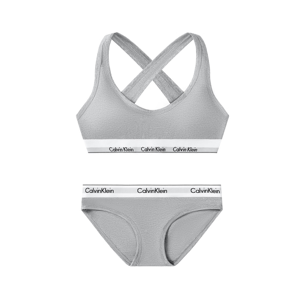 Calvin Klein カルバンクライン ブラ&ショーツ / 上下セット 灰色　Lサイズ 2枚目の画像