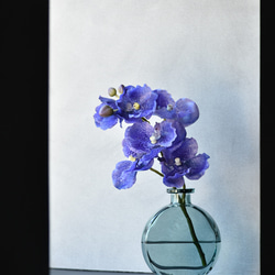 タニクグリーンアップル！？ 青りんごと多肉植物 フェイク