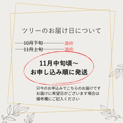 フレームクリスマスリース＊ナチュラル木の実とプリザーブド針葉樹 10枚目の画像