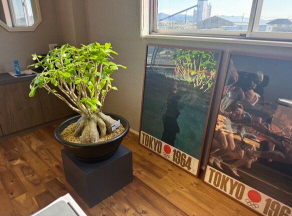 石っぽい　ディスプレイスタンド　ディスプレイボックス 1枚目の画像