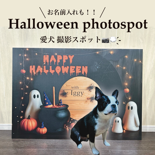 愛犬 ペット 撮影背景 ハロウィン背景 写真スポット ハロウィンブース