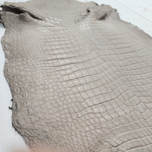 ワニ革 クロコ 半艶マット  グレージュ　No.C008893 13枚目の画像