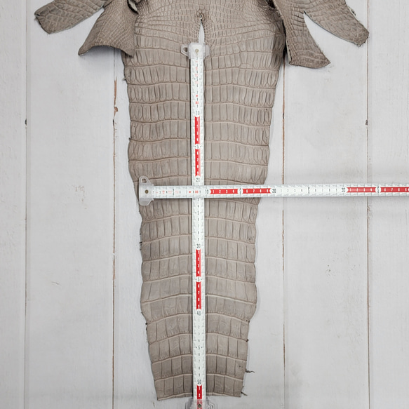 ワニ革 クロコ 半艶マット  グレージュ　No.C008893 7枚目の画像