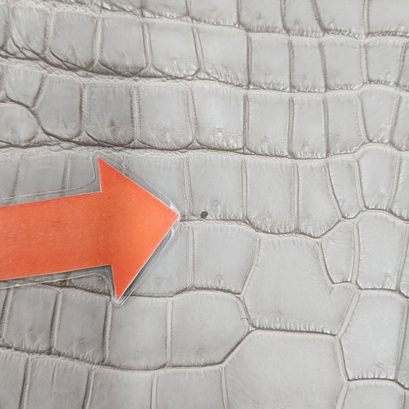 ワニ革 クロコ 半艶マット  グレージュ　No.C008893 11枚目の画像