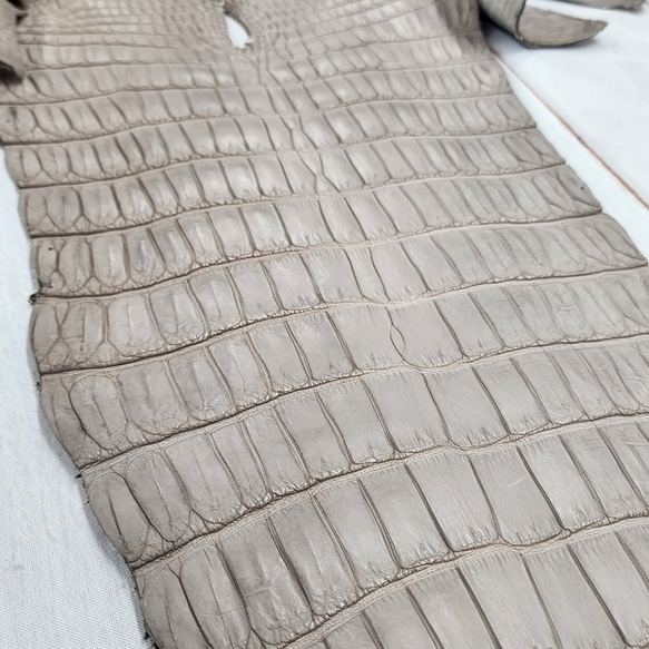 ワニ革 クロコ 半艶マット  グレージュ　No.C008893 15枚目の画像