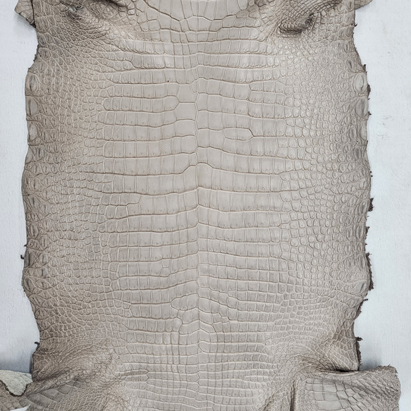 ワニ革 クロコ 半艶マット  グレージュ　No.C008893 4枚目の画像