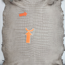 ワニ革 クロコ 半艶マット  グレージュ　No.C008893 10枚目の画像