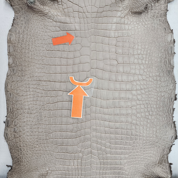 ワニ革 クロコ 半艶マット  グレージュ　No.C008893 10枚目の画像