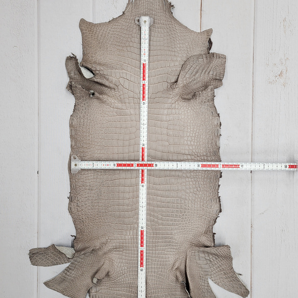 ワニ革 クロコ 半艶マット  グレージュ　No.C008893 6枚目の画像