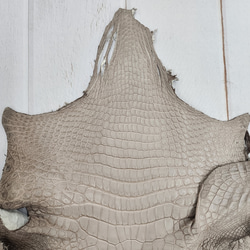 ワニ革 クロコ 半艶マット  グレージュ　No.C008893 3枚目の画像