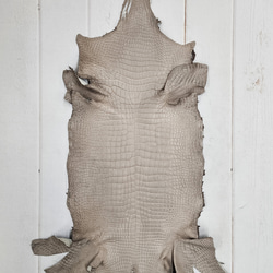 ワニ革 クロコ 半艶マット  グレージュ　No.C008893 1枚目の画像