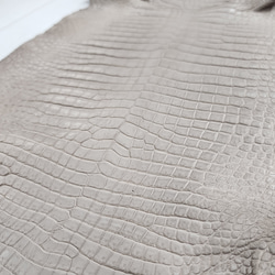 ワニ革 クロコ 半艶マット  グレージュ　No.C008893 14枚目の画像