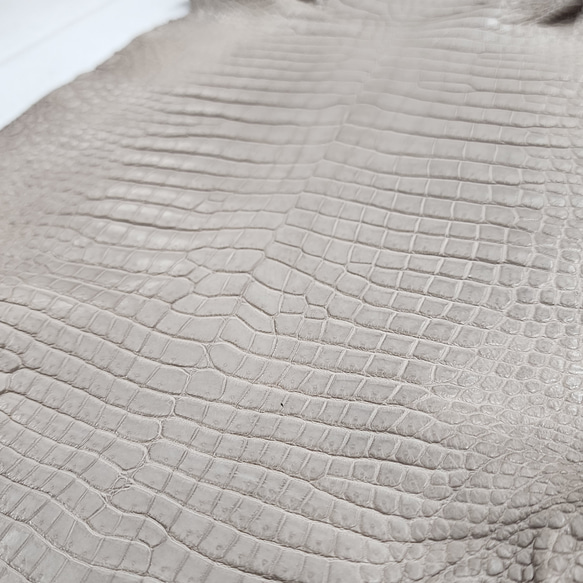 ワニ革 クロコ 半艶マット  グレージュ　No.C008893 14枚目の画像