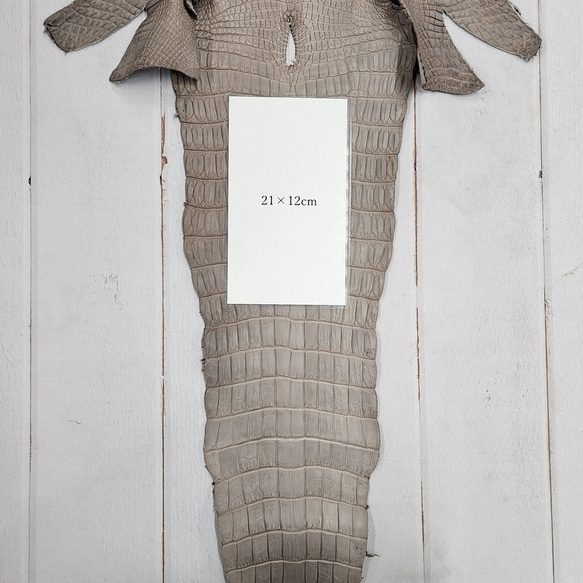 ワニ革 クロコ 半艶マット  グレージュ　No.C008893 9枚目の画像