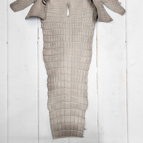 ワニ革 クロコ 半艶マット  グレージュ　No.C008893 5枚目の画像