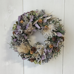 リース クリスマス パンパスグラス ワイルドフラワー ドライ 24cm 玄関