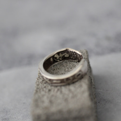 NEW MEXICO 5枚目の画像