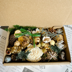 木の実&花材セット 木の実 クリスマス no.6 ドライフラワー Forest