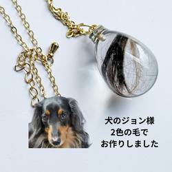 【選べるデザイン】うちの子の毛で作る 世界に一つのアクセサリー　ネックレス　キーホルダー　バッグチャーム 3枚目の画像