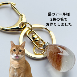 【選べるデザイン】うちの子の毛で作る 世界に一つのアクセサリー　ネックレス　キーホルダー　バッグチャーム 4枚目の画像