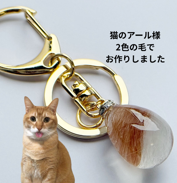 【選べるデザイン】うちの子の毛で作る 世界に一つのアクセサリー　ネックレス　キーホルダー　バッグチャーム 4枚目の画像