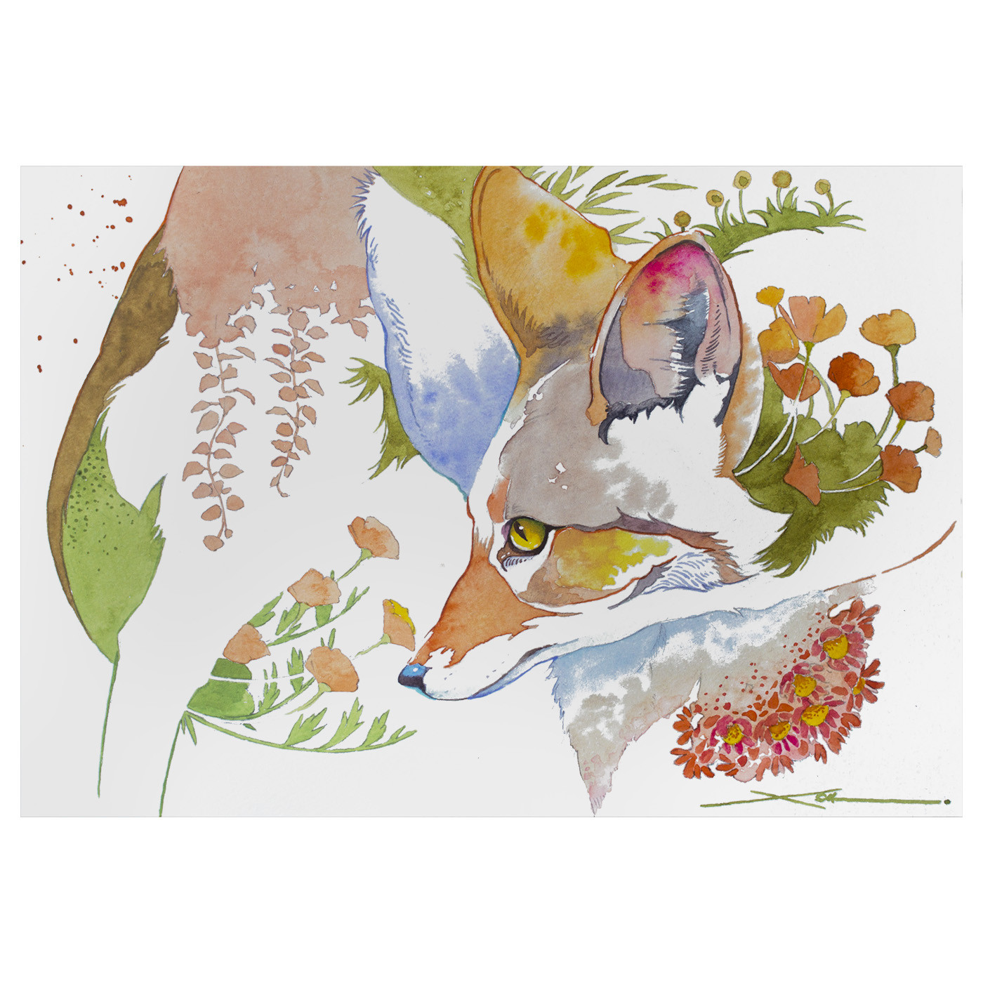 キツネ_水彩原画_イラスト