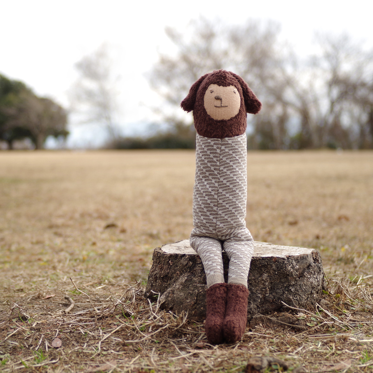 ルルさんのうちのこ