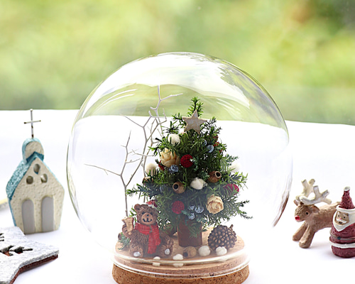 クリスマス2025】森のクリスマスツリーガラスドーム～bearサンタ