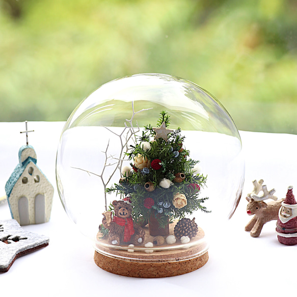 クリスマス2025】森のクリスマスツリーガラスドーム～bearサンタ