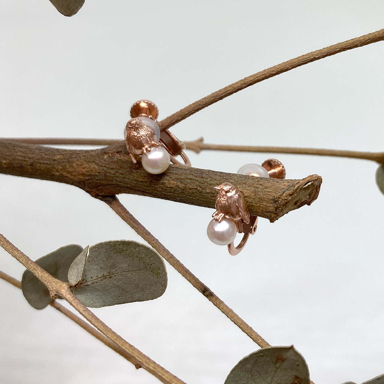 コマドリとパールのイヤリング