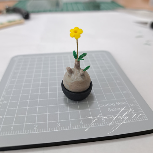 ミニチュア パキポディウム グラキリス 【 ハンドメイド ミニ 塊根植物