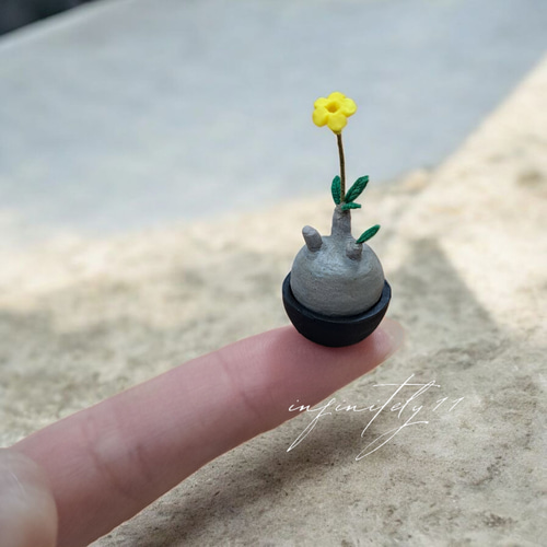 ミニチュア パキポディウム グラキリス 【 ハンドメイド ミニ 塊根植物