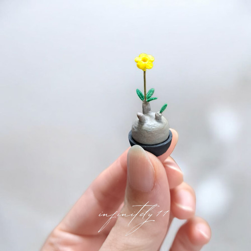 ミニチュア パキポディウム グラキリス 【 ハンドメイド ミニ 塊根植物