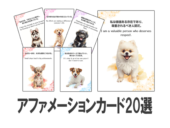 【アファメーションカード】キュートな動物に癒される✨アニマルセラピーカード 癒しの犬たちと心を整えるアファメーションカード20選 イラスト Tama