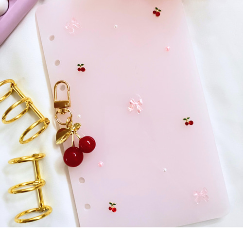 A6 レジン貯金バインダー｜積立貯金・セービングチャレンジ・家計管理