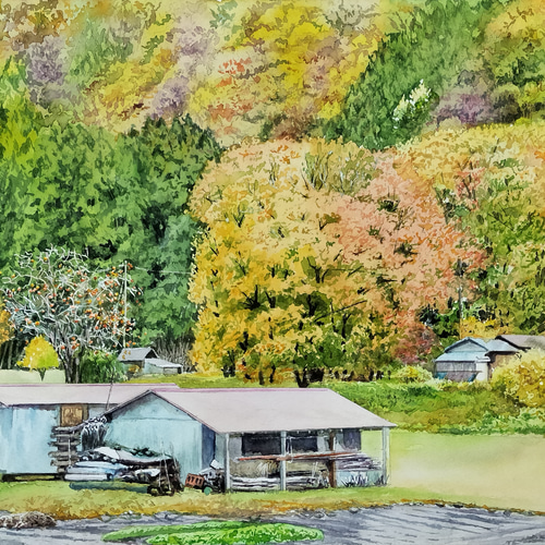 水彩画 「柿の木のある小屋」 絵画 yamakasumi56 通販 19955043