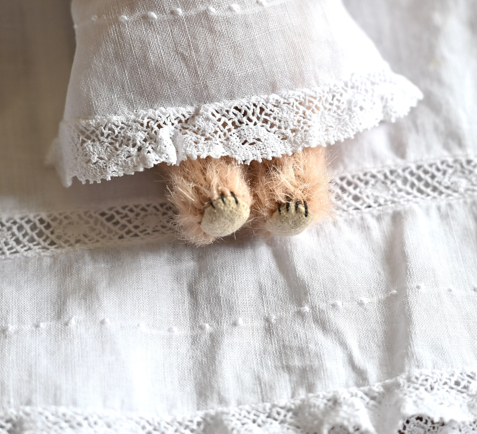 ﾊﾟｰﾌﾟﾙﾘﾎﾞﾝのLilacちゃん（ﾗｲﾗｯｸ）