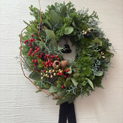 ユーカリ5種類 フレッシュ ドライフラワー用 ドライフラワー oniwacco