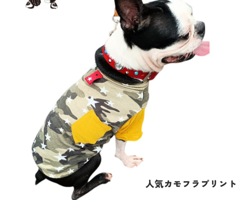 犬服 M わんこの普段着　森の小鳥 1e141584a53319e06e3812e1322857