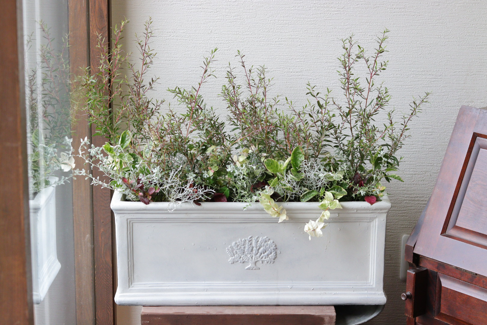 秋風に揺れる❤︎レプトスペルマムのリーフでまとめた寄せ植え