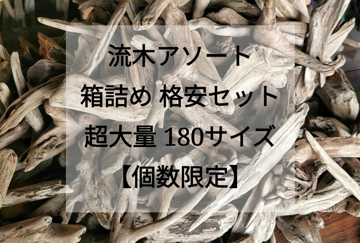 【送料無料】【最大サイズ】【限定数】まがり屋流木 南信州産 天然流木 おまかせアソート 180サイズ箱詰めセット 大量