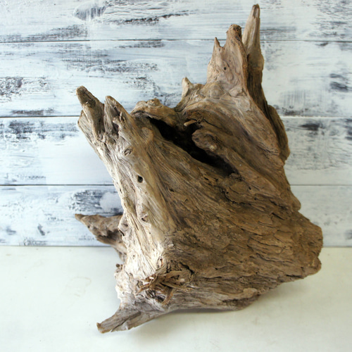 流木 あく抜き処理 煮沸消毒済 テラリウム 爬虫類 登り木 レイアウト