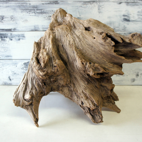 流木 あく抜き処理 煮沸消毒済 テラリウム 爬虫類 登り木 レイアウト