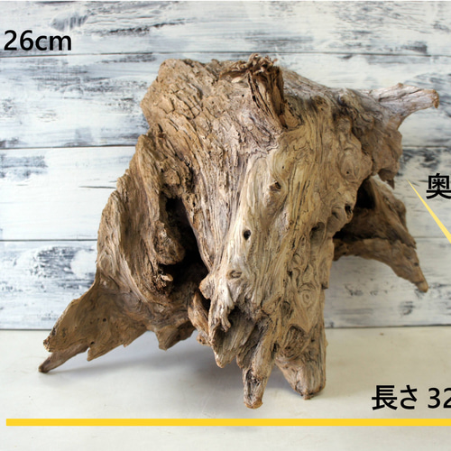 流木 あく抜き処理 煮沸消毒済 テラリウム 爬虫類 登り木 レイアウト