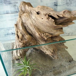 ヤマムラ8点おまとめ　 アク抜き済流木大型　爬虫類登リ木 d3fb85ca2dfea37b5d27ff6ac2613a