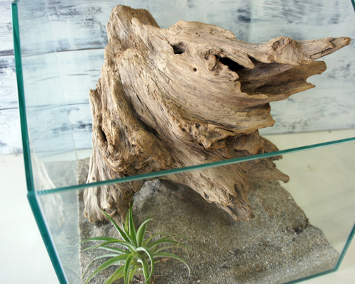 d3fb85ca2dfea37b5d27ff6ac2613a