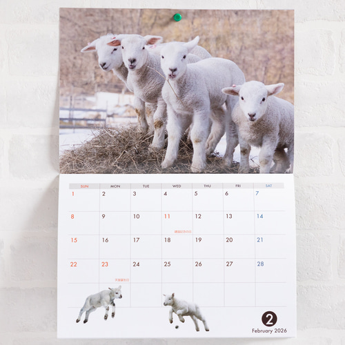 2026年度版 ひつじめぐりカレンダー カレンダー 平林美紀 通販