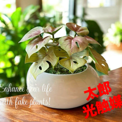 光触媒 人工観葉植物 ウォールグリーン フェイクグリーン ガジュマル42