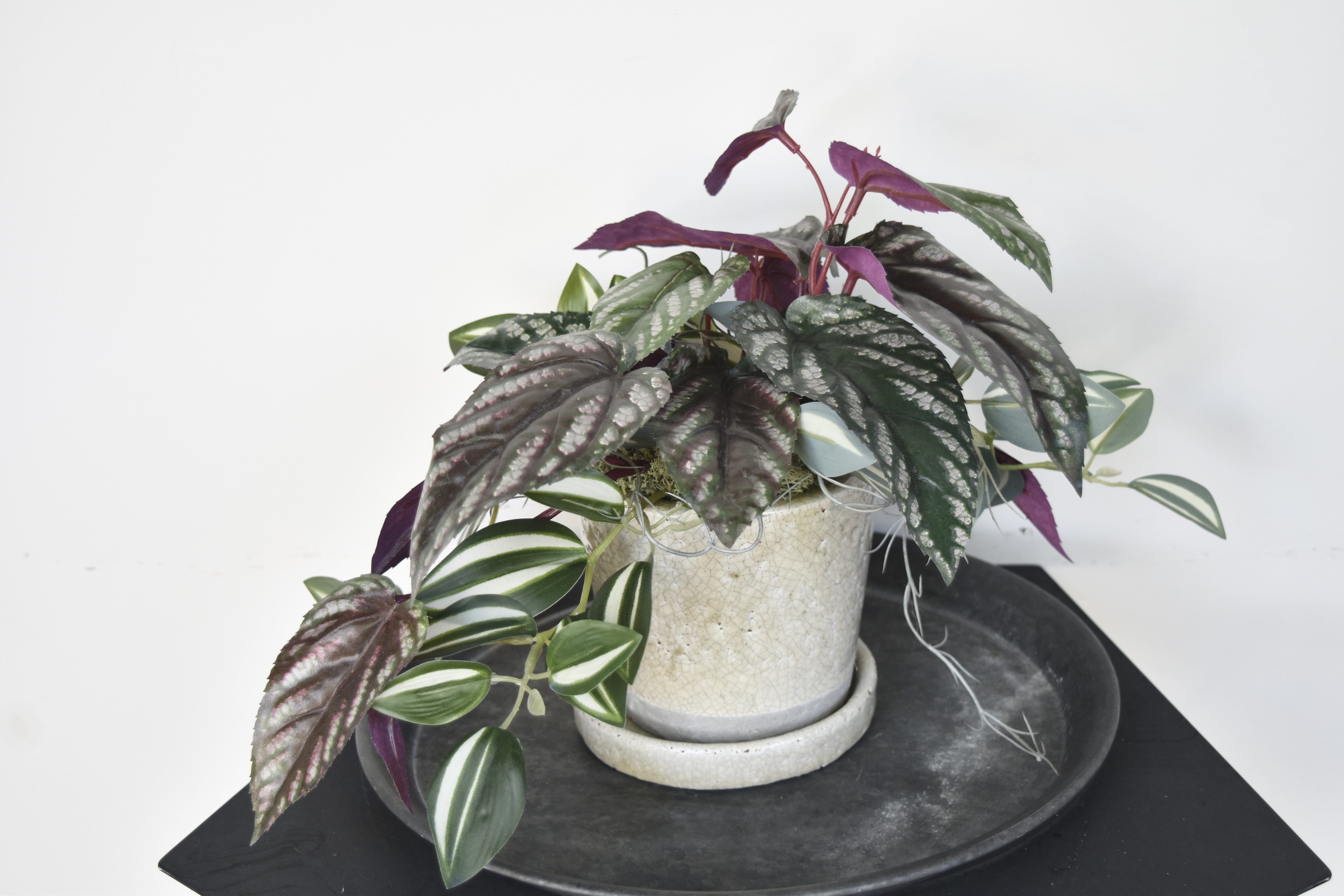 【光触媒コーティング済】セイシカズラ フェイクグリーン寄せ植えMIX/アーティフィシャルグリーン